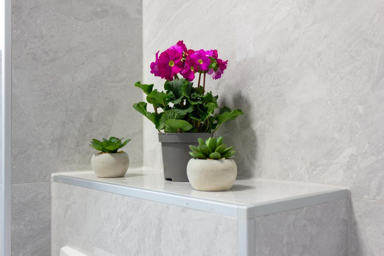 ספליט Luxury Apartment Petra מראה חיצוני תמונה